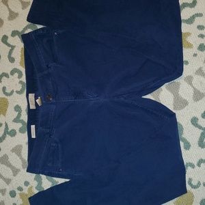 Loft Velvet Skinny Petite